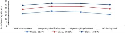 A latent profile analysis of doctors’ joy in work at public hospitals